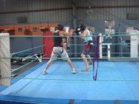 boxing_training_wodonga_personal_training_wodonga_023