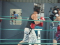 boxing_training_wodonga_personal_training_wodonga_031