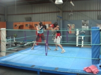 boxing_training_wodonga_personal_training_wodonga_035