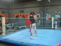 boxing_training_wodonga_personal_training_wodonga_038